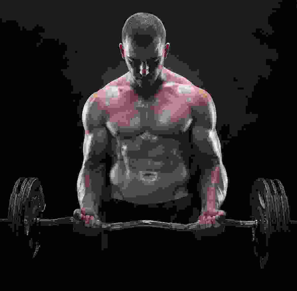 Aenean vitae enim rhoncus