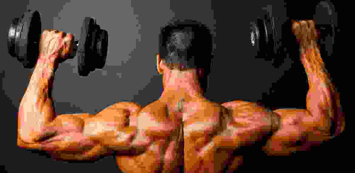 Proin venenatis felis