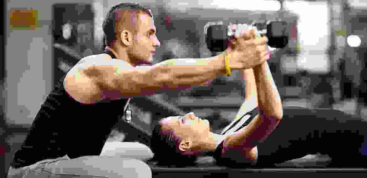 Vestibulum pellentesque metus