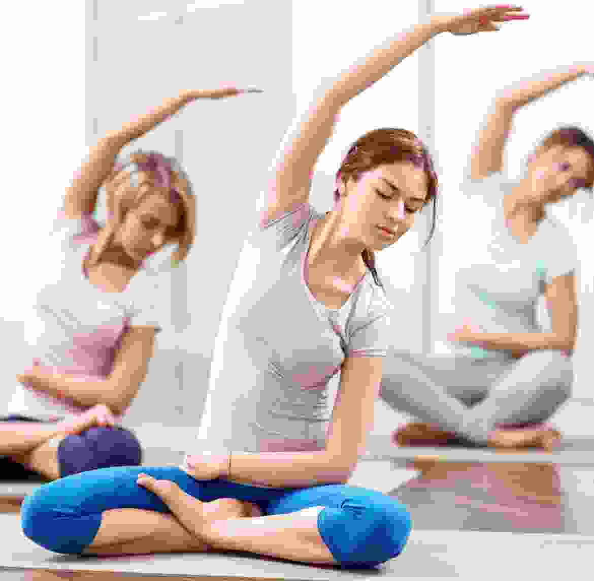 Cras tristique purus non lacus