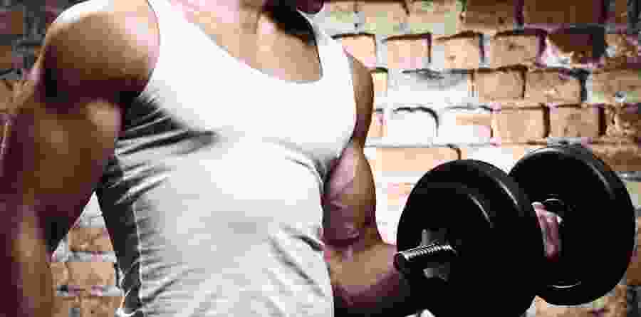 Muscle Build Pro Muscle Build Pro